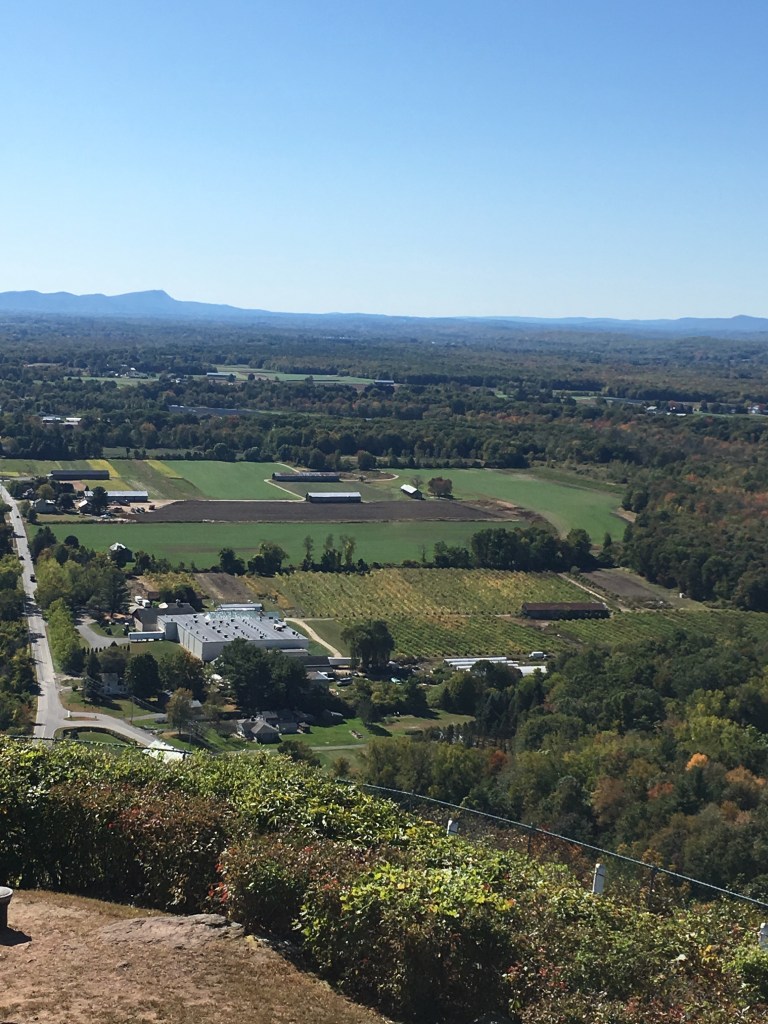 view of tobacco farms